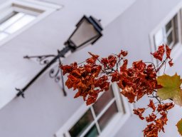 Fotowalk Hallein